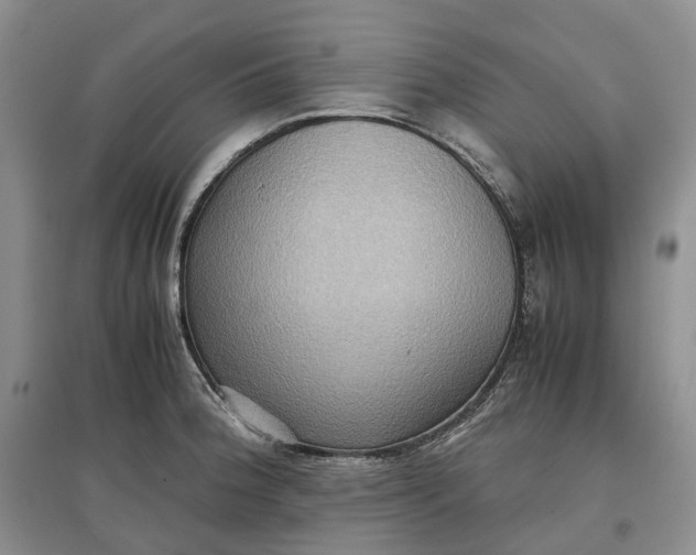 X0000097601188200803141910