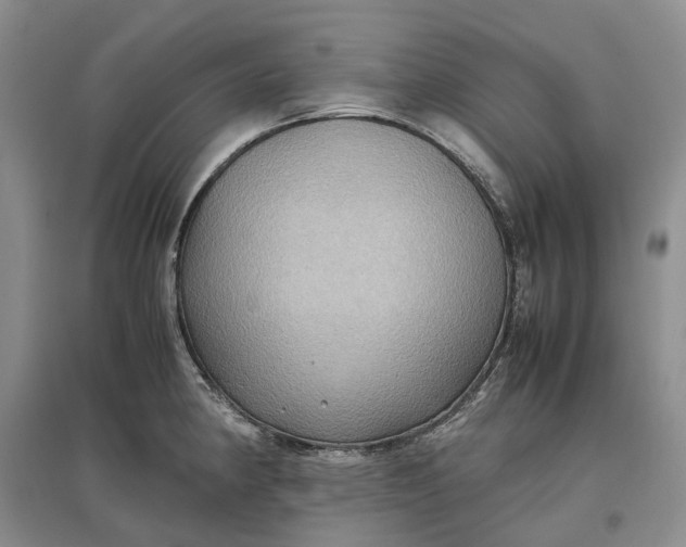 X0000097601190200803141910