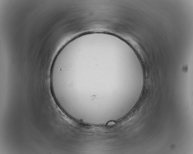 X0000097601191200803141910