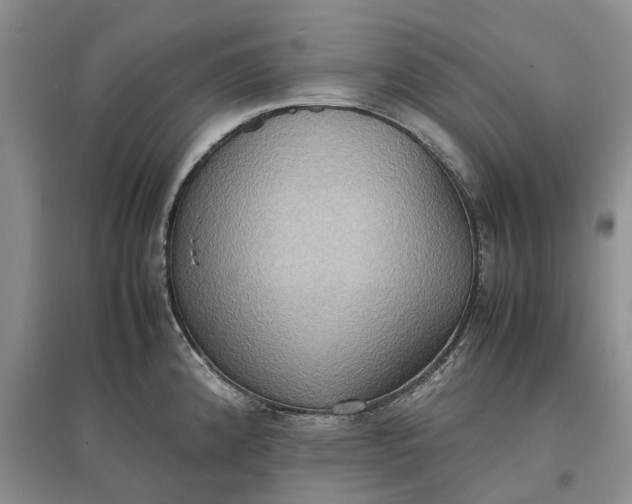X0000097601192200803141910