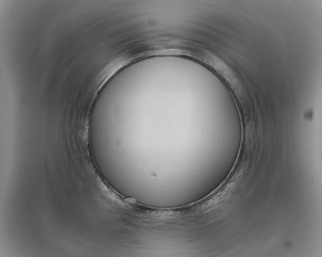X0000097601193200803141910