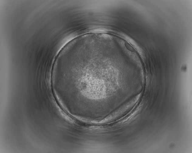 X0000097601194200803141910