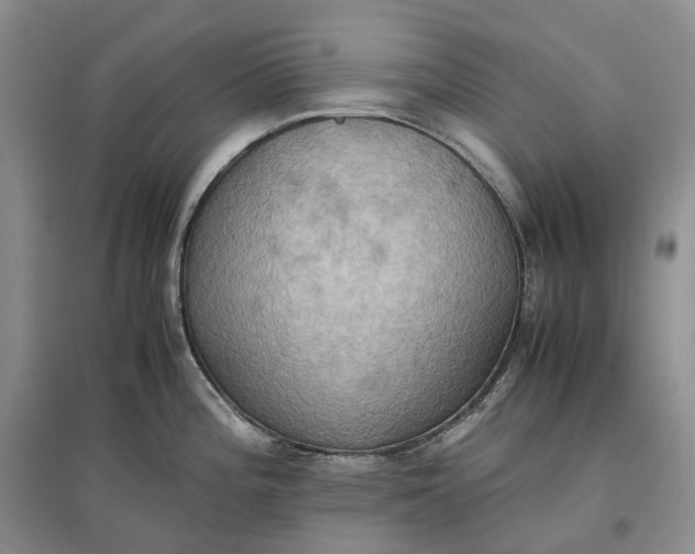 X0000097601196200803141910