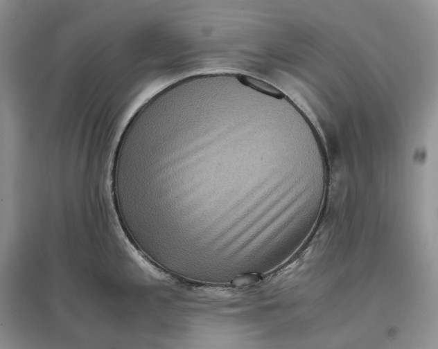 X0000097601197200803141910