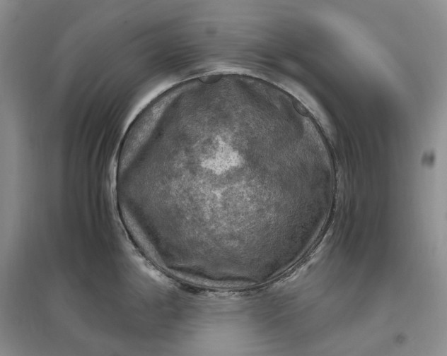 X0000097601198200803141910