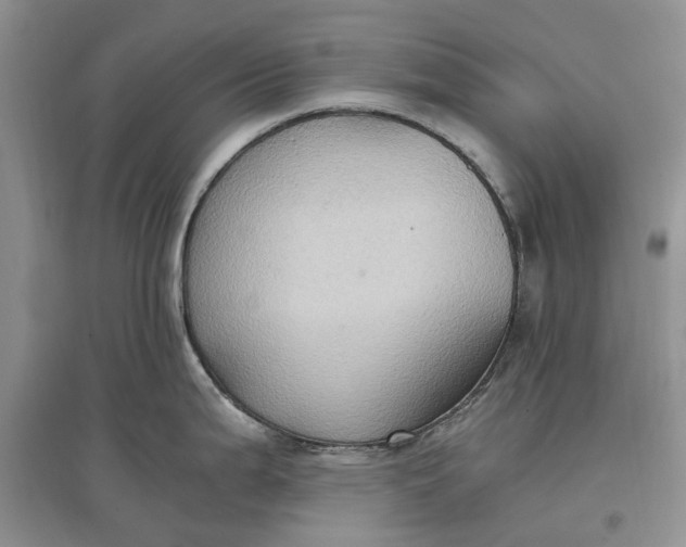 X0000097601199200803141910