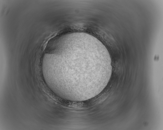 X0000097601201200803141909