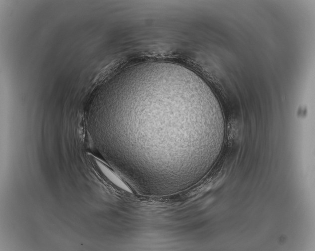X0000097601202200803141909