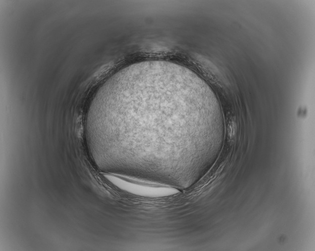 X0000097601204200803141909
