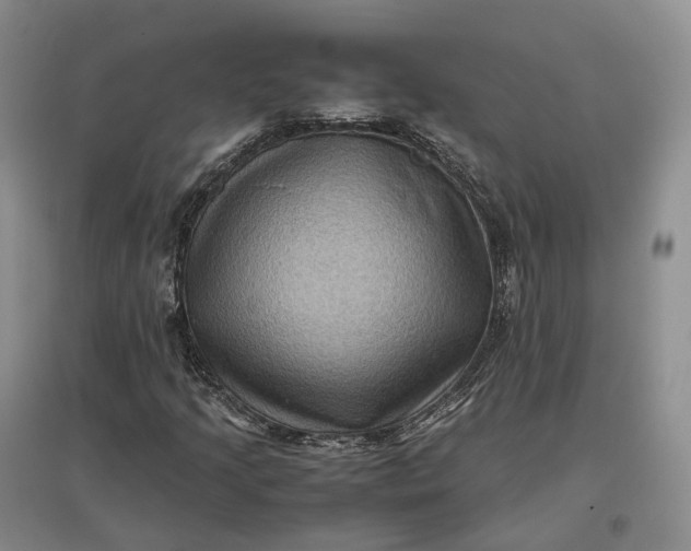 X0000097601205200803141909