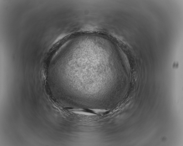 X0000097601206200803141909