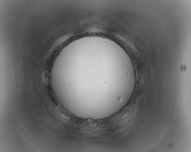 X0000097601207200803141909