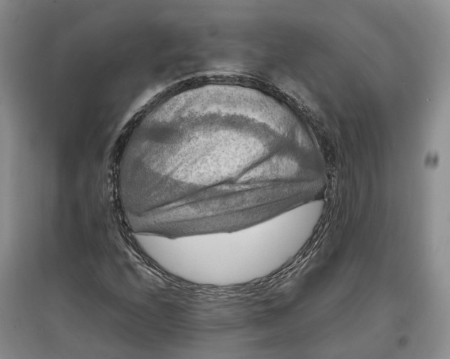 X0000097601208200803141909