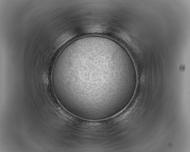 X0000097601209200803141909