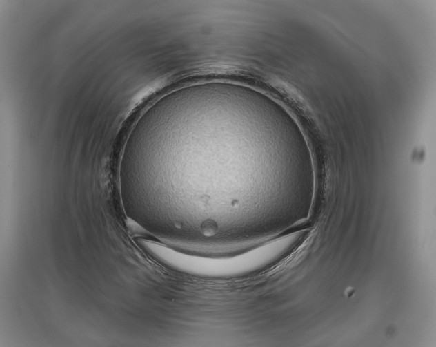 X0000097601210200803141909
