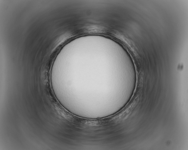 X0000097601211200803141909