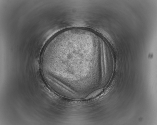 X0000097601212200803141909