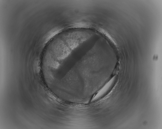 X0000097601213200803141909