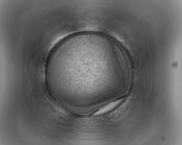 X0000097601214200803141909