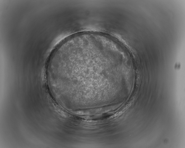 X0000097601215200803141909