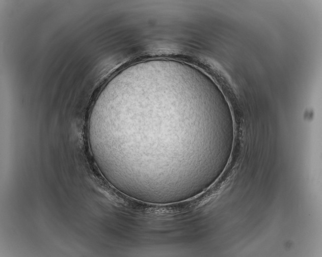 X0000097601217200803141909