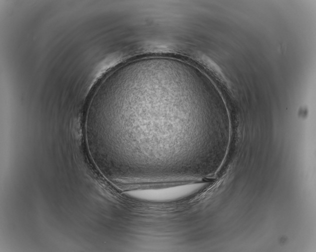 X0000097601218200803141909