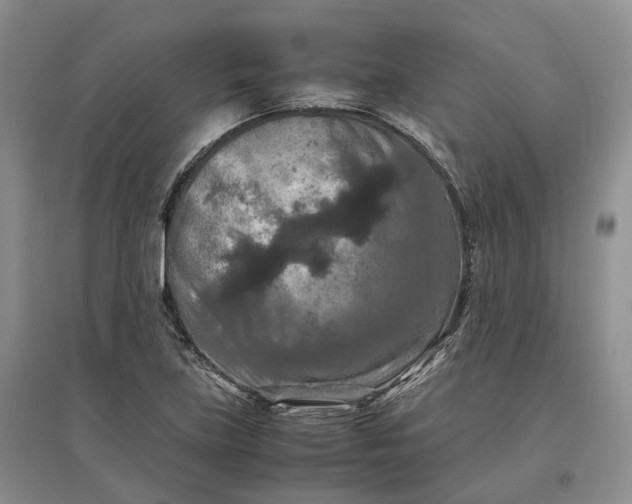 X0000097601219200803141909