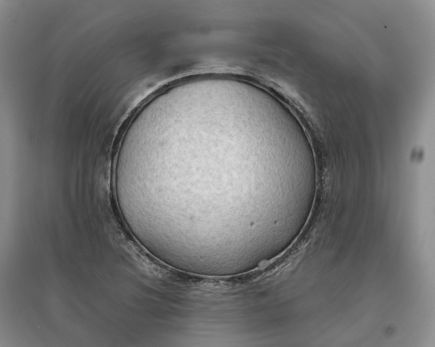 X0000097601220200803141909