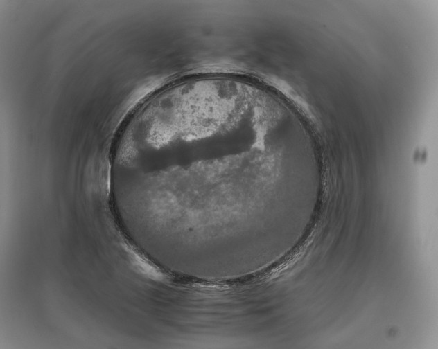 X0000097601221200803141909