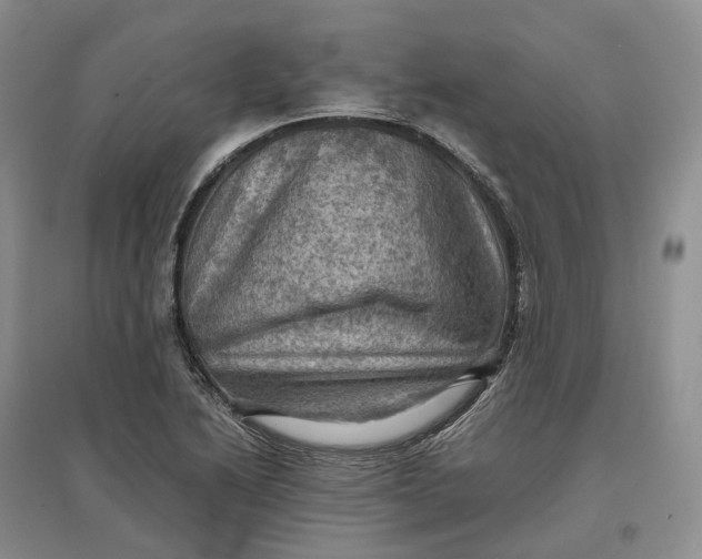 X0000097601222200803141909