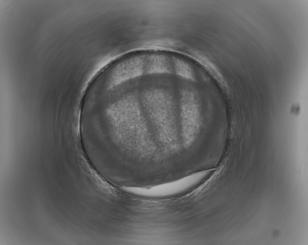 X0000097601224200803141909
