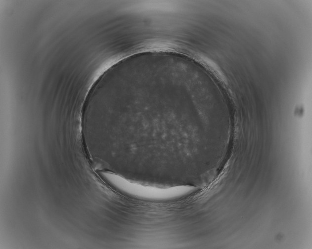 X0000097601226200803141909