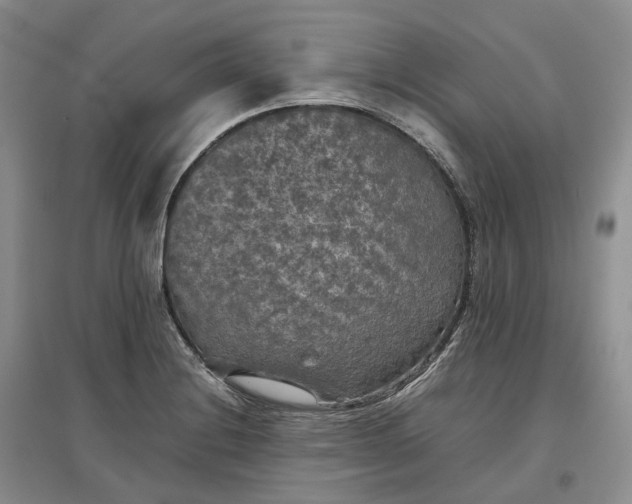 X0000097601228200803141909