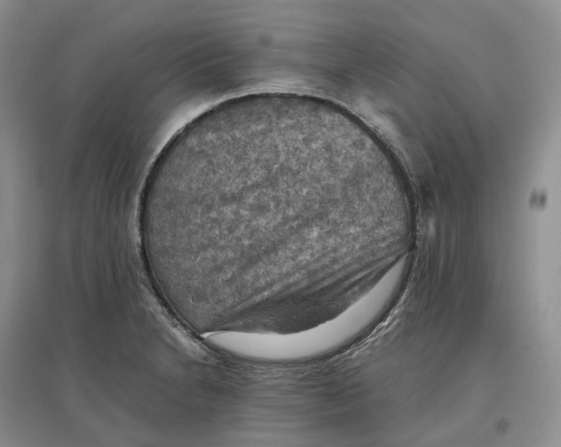 X0000097601230200803141909