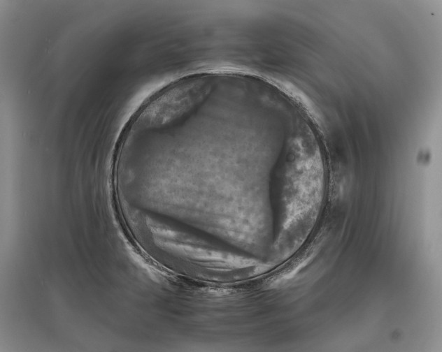 X0000097601231200803141909
