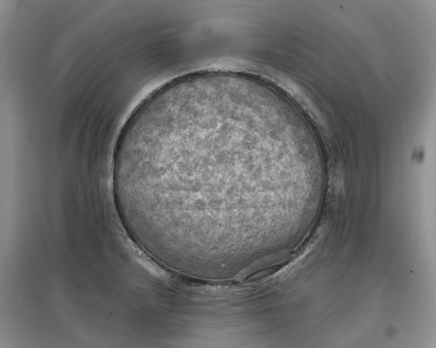 X0000097601232200803141909