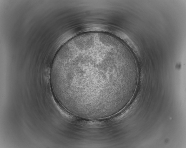 X0000097601233200803141909