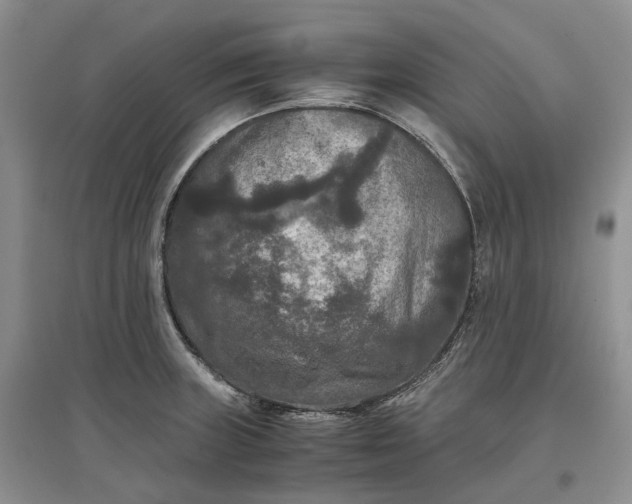 X0000097601235200803141909