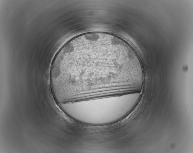 X0000097601236200803141909