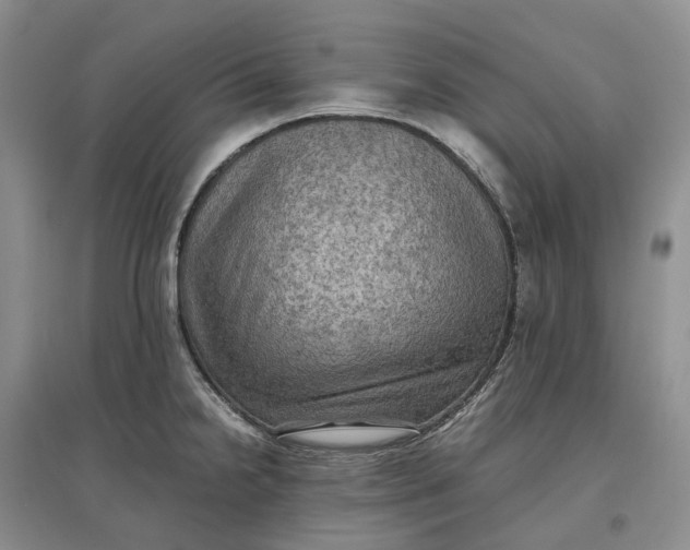 X0000097601238200803141909