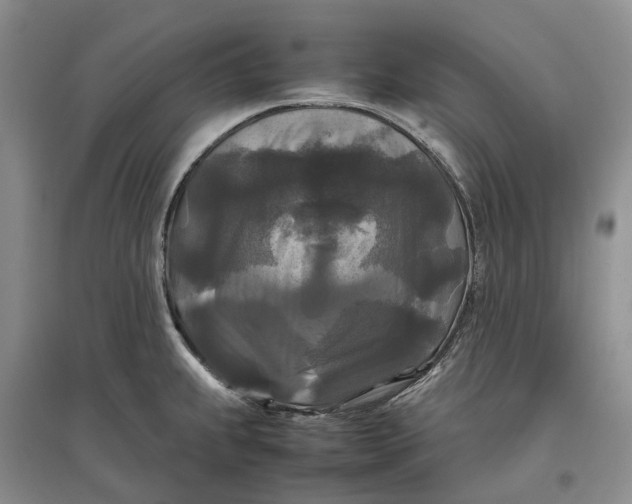X0000097601239200803141909