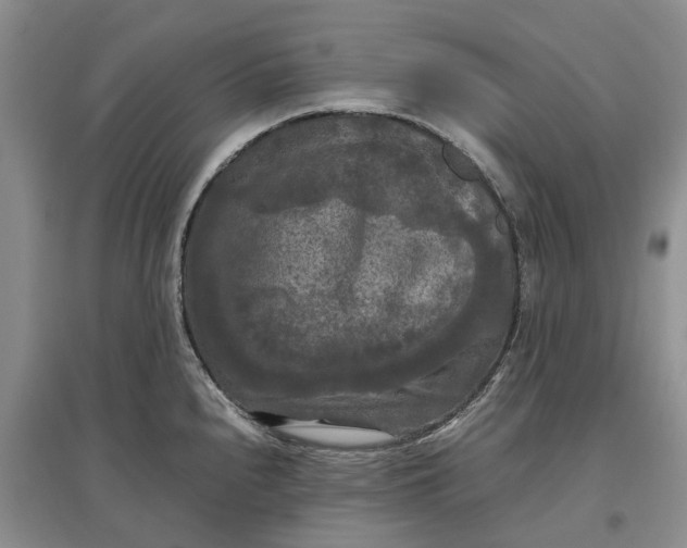 X0000097601240200803141909