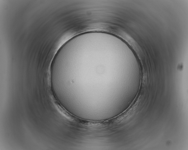 X0000097601242200803141909