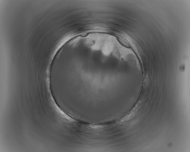 X0000097601243200803141909