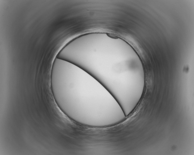 X0000097601244200803141909