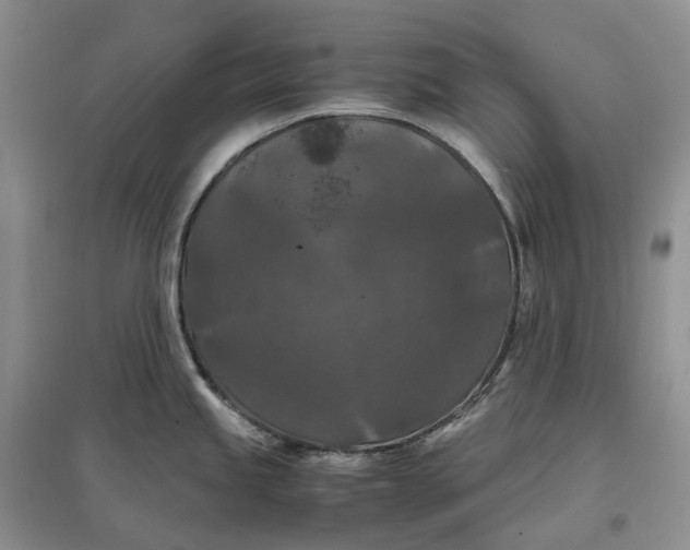 X0000097601245200803141909
