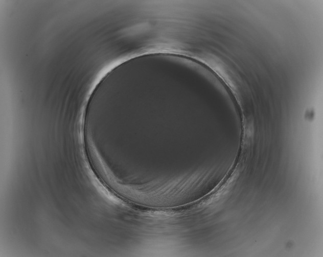 X0000097601246200803141909