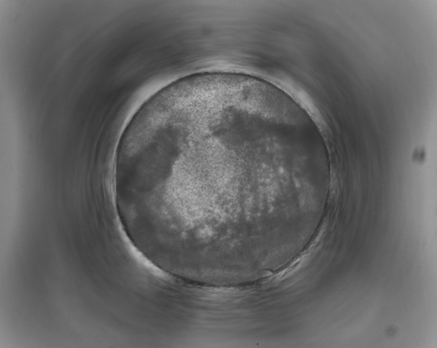 X0000097601247200803141909