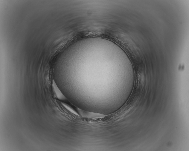 X0000097601250200803141909