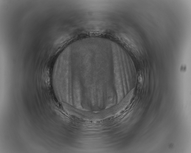 X0000097601252200803141909